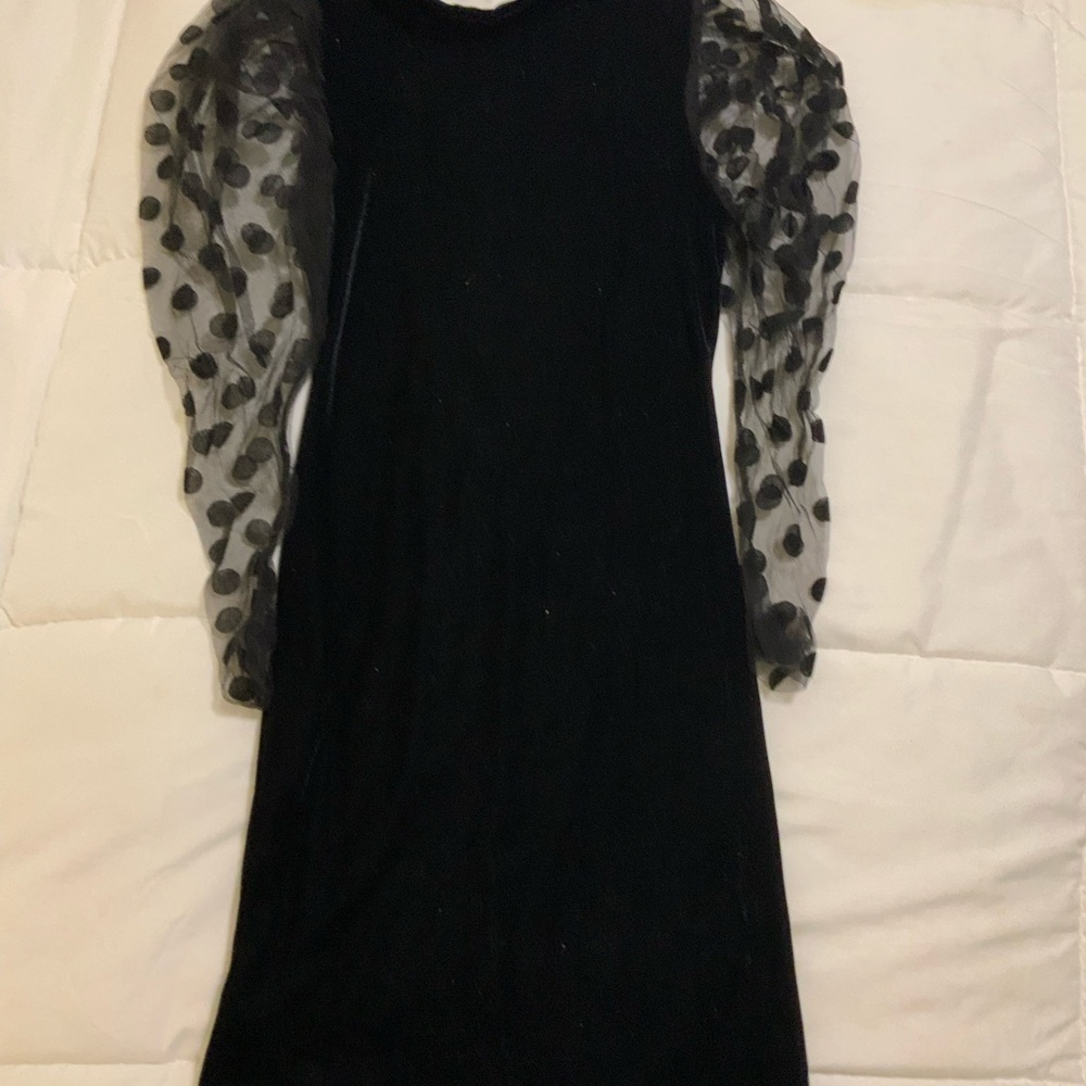 Zara Black Dress with Sheer Polka Dot Sleeves